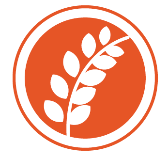 icon3